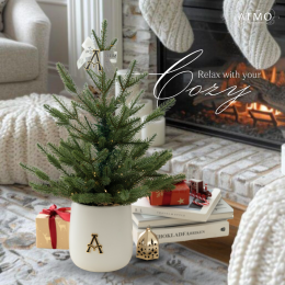 A Tree for Every Vibe : Matching Christmas Trees to Your Rooms Aesthetic