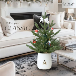 A Tree for Every Vibe : Matching Christmas Trees to Your Rooms Aesthetic