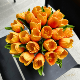 ส้มที่ถูกต้อง! มารู้จัก 'ทิวลิปสีส้ม' ดอกไม้ปลุกเอเนอร์จี้บวกที่จะทำให้คุณตกหลุมรัก!