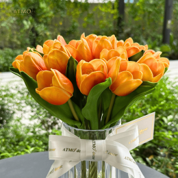 ส้มที่ถูกต้อง! มารู้จัก 'ทิวลิปสีส้ม' ดอกไม้ปลุกเอเนอร์จี้บวกที่จะทำให้คุณตกหลุมรัก!