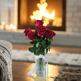 Red Rose "ผ้าห่มของฤดูหนาว" ที่มอบความอบอุ่นให้หัวใจ