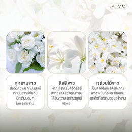 ความงามอันบริสุทธิ์ และความหมายที่ลึกซึ้งด้วยดอกไม้สีขาว