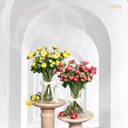 "Gracefully x Ranunculus" ความงามที่พูดแทนความรู้สึก