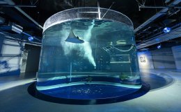 พิพิธภัณฑ์สัตว์น้ำอาโตอะ (Atoa Aquarium)