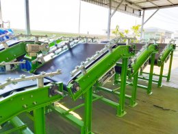 Belt conveyor