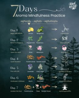 #3  เจ็ดวันแห่งการหายใจที่รู้ตัว  และกลับสู่หัวใจด้วยกลิ่นหอมจากธรรมชาติ