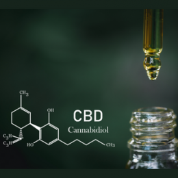 รู้จัก CBD , THC and Terpenes ในกัญชา 