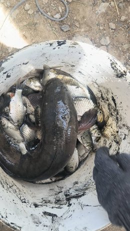 สองสาวพี่น้อง ผู้นำท้องถิ่น ท้องที่ ตระกูลฉันทโชติแห่งหมู่ 18 ตำบลบางพลีใหญ่ จัดโครงการปล่อยปลาวันพ่อจับปลาวันแม่
