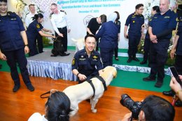 กรุงเทพฯ : ออสเตรเลีย ส่งมอบ สุนัข K9 ให้กรมศุลกรกรไทย  ปัฏบัติหน้าที่เชิงรุก
