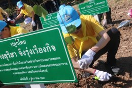 ปอ ปิฎก นำ คกก. คสร. ปลูกป่าชายเลน-ปล่อยปูทะเล เนื่องในวันพ่อแห่งชาติ