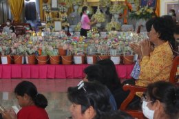 แรงศรัทธาไม่เสื่อมคลาย! ชาวบางเสาธงร่วมใจหลั่งไหลสู่วัดบัวโรย ในวันสุดท้ายของงานประจำปี