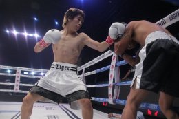 "เจ้าหนูมหัศจรรย์" ไทเกอร์ มาร์ช กำปั้นลูกครึ่งไทย-จีนวัย 14 ปีพกสไตล์การชกบู๊ดุดันคว่ำ เกียรติพล กระแอ นักชกวัย 31 ปีน็อคยก 1 ในการชกเป็นคู่เอก The Fighter World Boxing