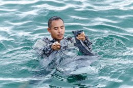 กองเรือปฏิบัติการทัพเรือภาคที่ 1 ร่วมกับ ชมรมกู้ภัยทางน้ำและทางทะเล จัดฝึกอบรมการเอาชีวิตรอดในทะเล