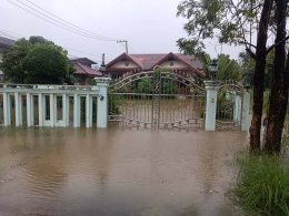 พายุซูลิกซัด มุกดาหารอ่วม  ฝนตกตลอดคืน น้ำท่วมขัง รอการระบาย