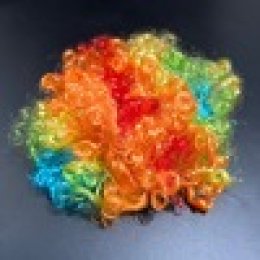 วิกผมตัวตลก วิกเรนโบว์ วิกสายรุ้ง วิก LGBT