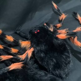 Black Spider กระเป๋าสะพายแมงมุมเด็ก