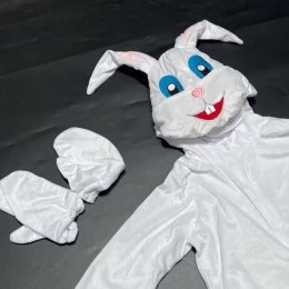 ชุดแฟนซีกระต่ายเด็ก easter day / ชุดแฟนซีแครอทเด็ก