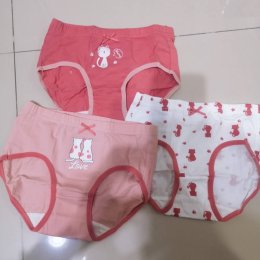 Girl pant sent กางเกงในเด็กผู้หญิงเซ็ต 3 ตัว(UNDERWEAR50)