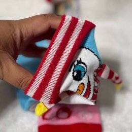 ถุงเท้าแฟนซี fancy sock ใส่เวลามีธีม odd sock ในกิจกรรม