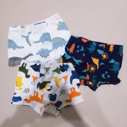 กางเกงในเด็ก Little Dino เซ็ต 3 ตัว(UNDERWEAR52)