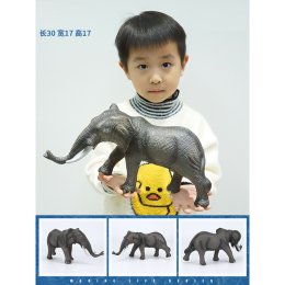 Jumbo animal Model โมเดลไซส์จัมโบ้แสนสนุก