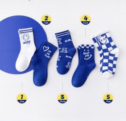 Blue Bear Sock ถุงเท้าหมีลายสตรีทเซ็ต 5 คู่(SOCK131)