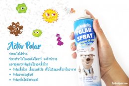 สเปรย์ปรับอากาศ Polar Spray 