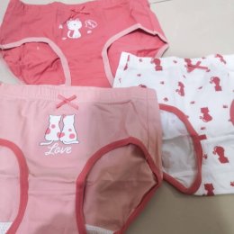 Girl pant sent กางเกงในเด็กผู้หญิงเซ็ต 3 ตัว(UNDERWEAR50)