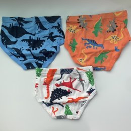 กางเกงใน 3 ตัว ลายไดโนเสาร์ Dino (UNDERWEAR38)