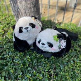 Panda doll bag กระเป๋าน้องแพนด้า มาตามแบบเป๊ะ