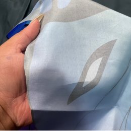 ปีกแมลงพร้อมหน้ากาก เซ็ตนี้มีแค่ 2 ชิ้น ปีกและหน้ากาก 