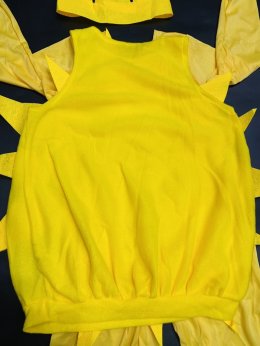 ชุดคอสเพลย์พระอาทิตย์ยิ้มแฉ่ง มาพร้อมรอยยิ้มหวานๆ 