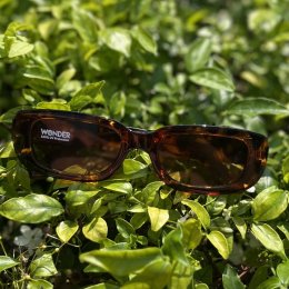 Y2K KIDS Sunglasses จากแบรนด์ Wonderkid แว่นกันแดดเด็ก