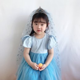 Frozen Princess birthday