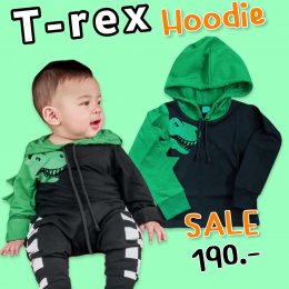 T-Rex Roarrrr Hoodie #SALE190 (pb493)