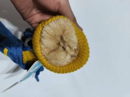 Ski gloves ถุงมือกันหนาวเด็ก ถุงมือเล่นสกี แบรนด์ kidsgoods