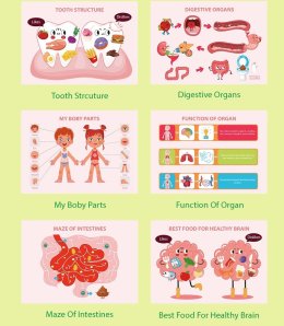 หนังสือกิจกรรม Busy book / Quiet book รวมกิจกรรม รูปภาพ