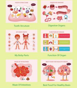 หนังสือกิจกรรม Busy book / Quiet book รวมกิจกรรม รูปภาพ