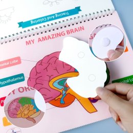 หนังสือกิจกรรม Busy book / Quiet book รวมกิจกรรม รูปภาพ