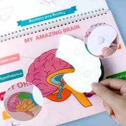 หนังสือกิจกรรม Busy book / Quiet book รวมกิจกรรม รูปภาพ