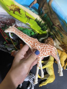 T-rex head model box กล่องเก็บโมเดลรูปหัว t-rex 