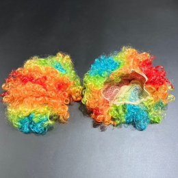 วิกผมตัวตลก วิกเรนโบว์ วิกสายรุ้ง วิก LGBT