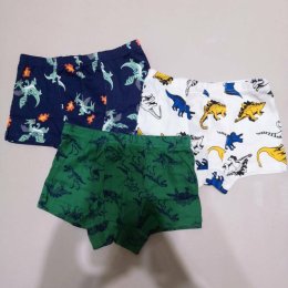 กางเกงในเด็ก Dragon and Dino เซ็ต 3 ตัว(UNDERWEAR53)