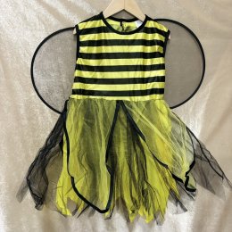 ชุดแฟนซีแมลง 