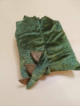 ชุดแฟนซีเด็ก ไดโนเสาร์ 3d dinosaur roar