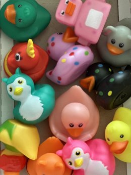 เป็ดลอยน้ำ Ducky collection (TOY685)