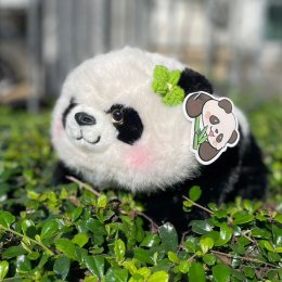 Panda doll bag กระเป๋าน้องแพนด้า