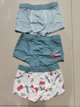 Boy pant sent กางเกงในเด็กผู้ชายเซ็ต 3 ตัว(UNDERWEAR49)