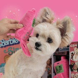 Sniffing Game ของเล่นซ่อนขนม