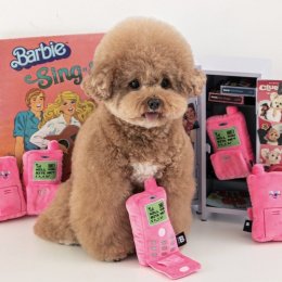 Sniffing Game ของเล่นซ่อนขนม 